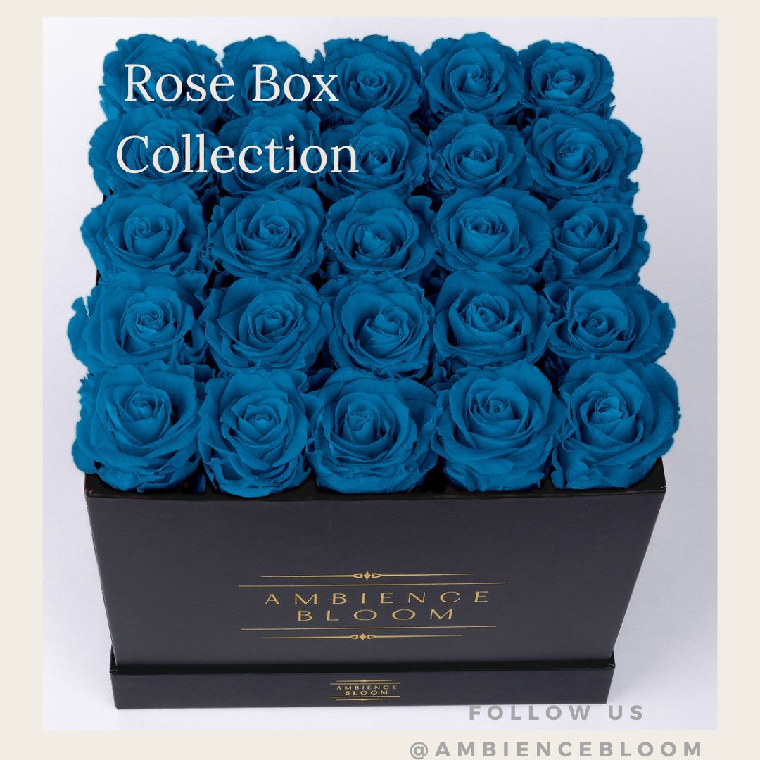 Rose Box Collection – Ambience Bloom