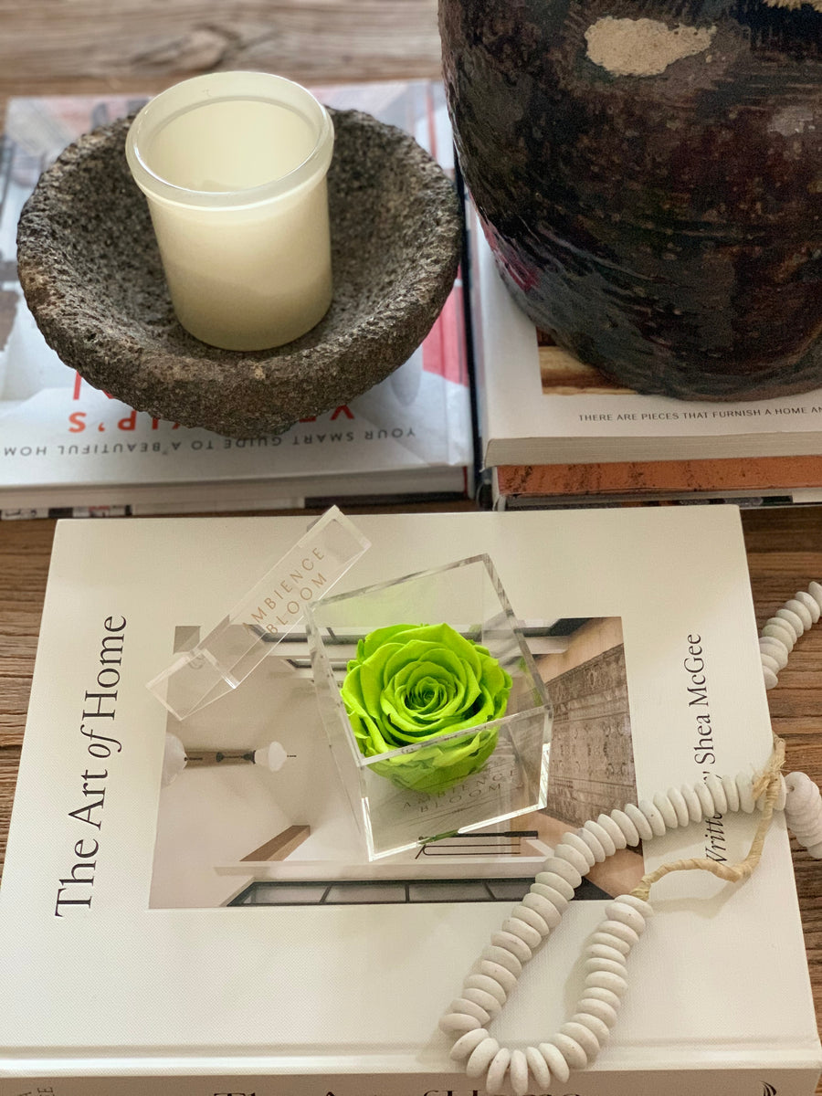 Single Rose Collection – Ambience Bloom