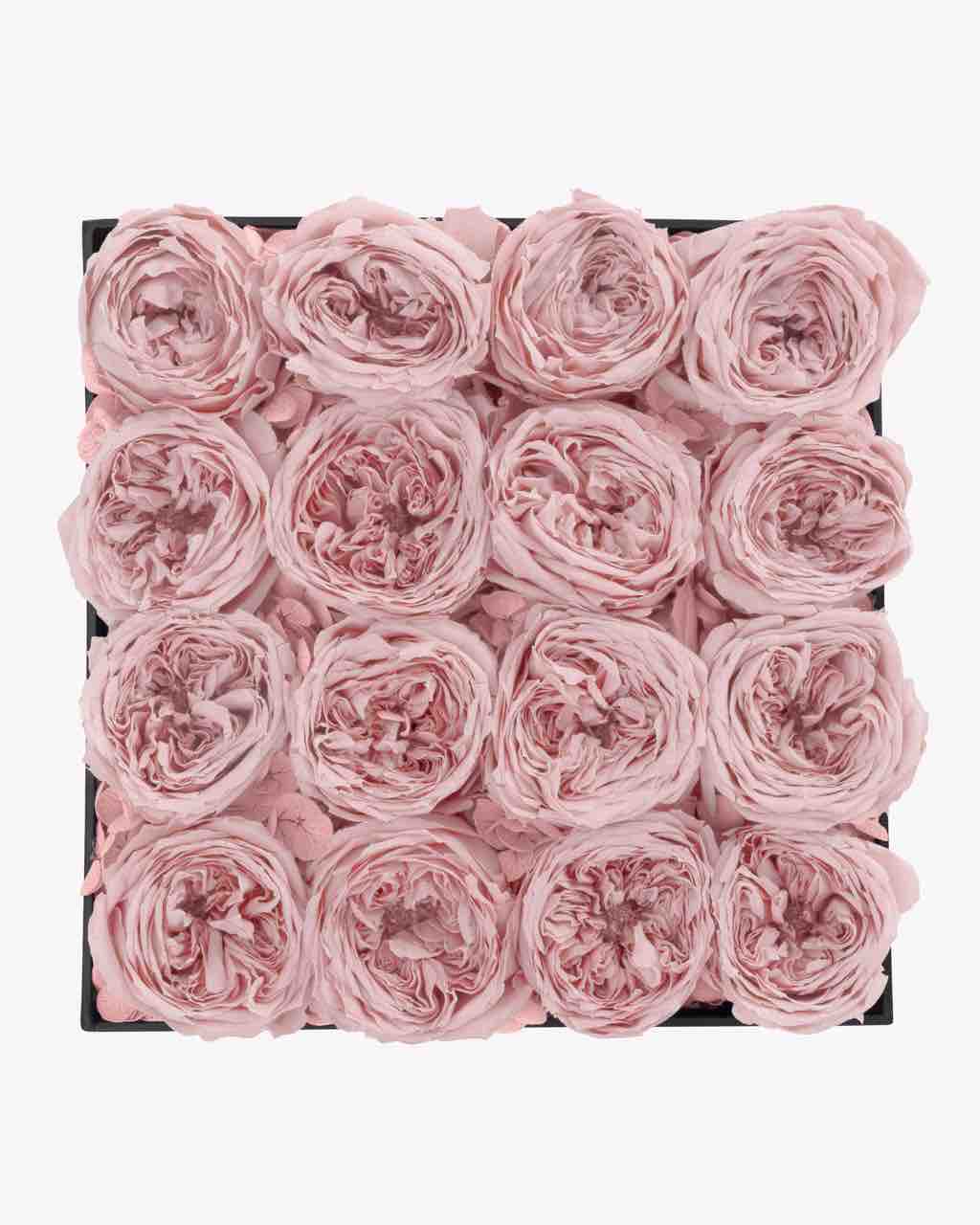 Garden Rose - Medium Luxury Box