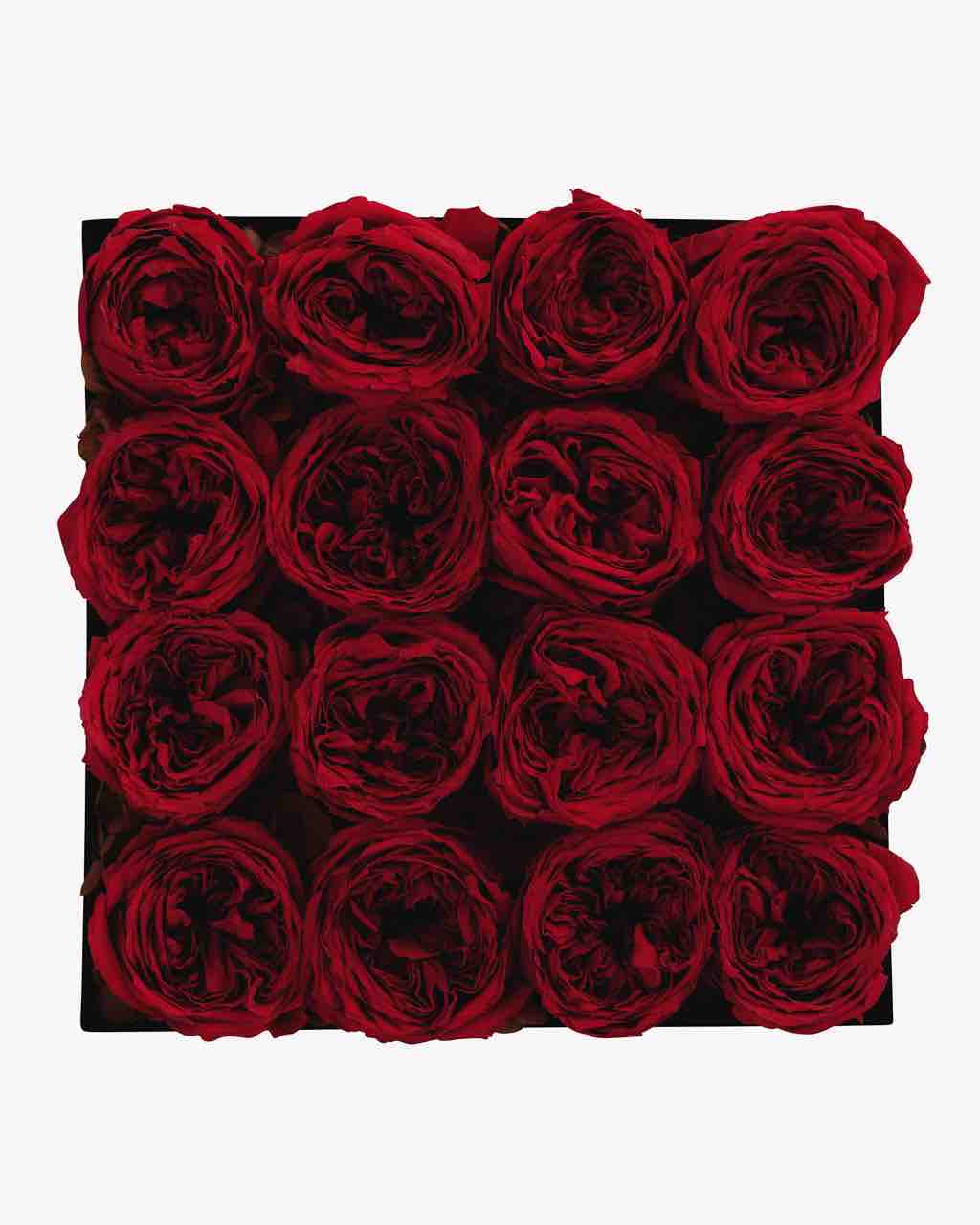 Garden Rose - Medium Luxury Box