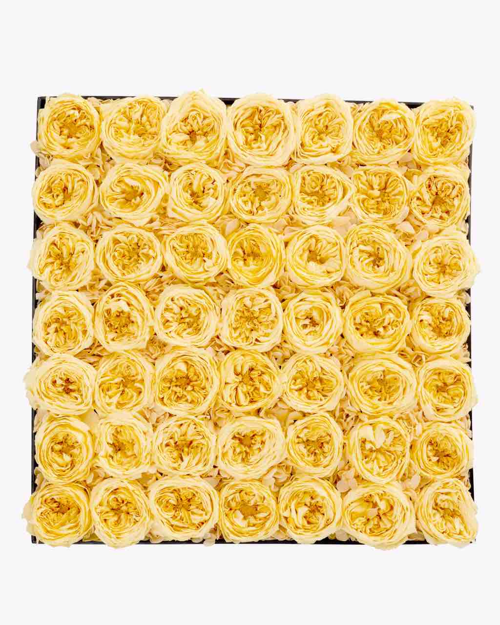 Garden Rose - Extra Large Luxury Box