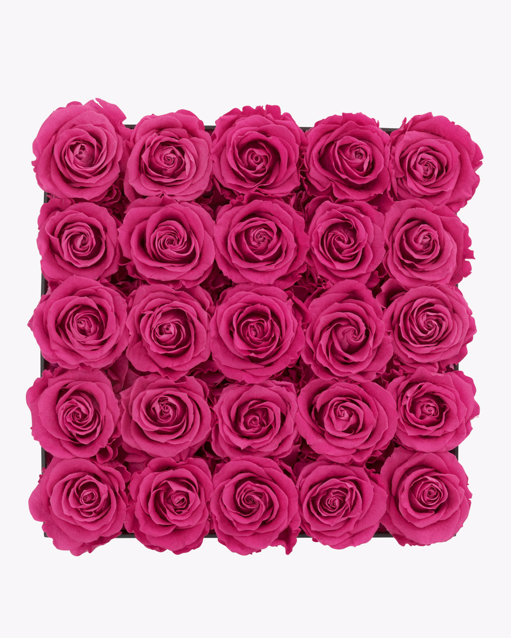 color_MAGENTA