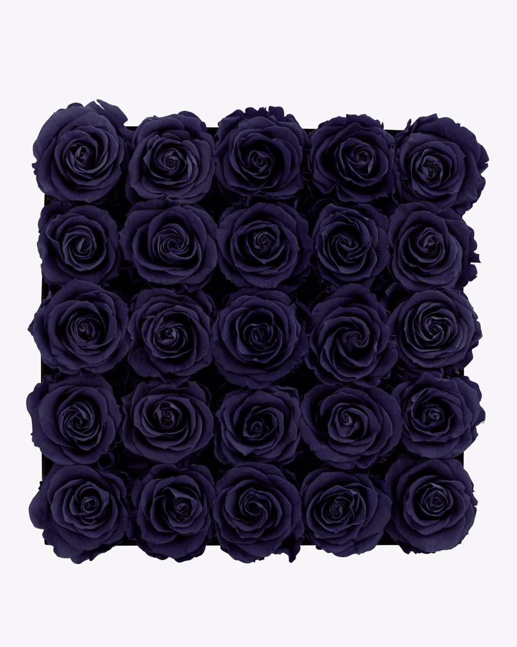 color_DARK PURPLE