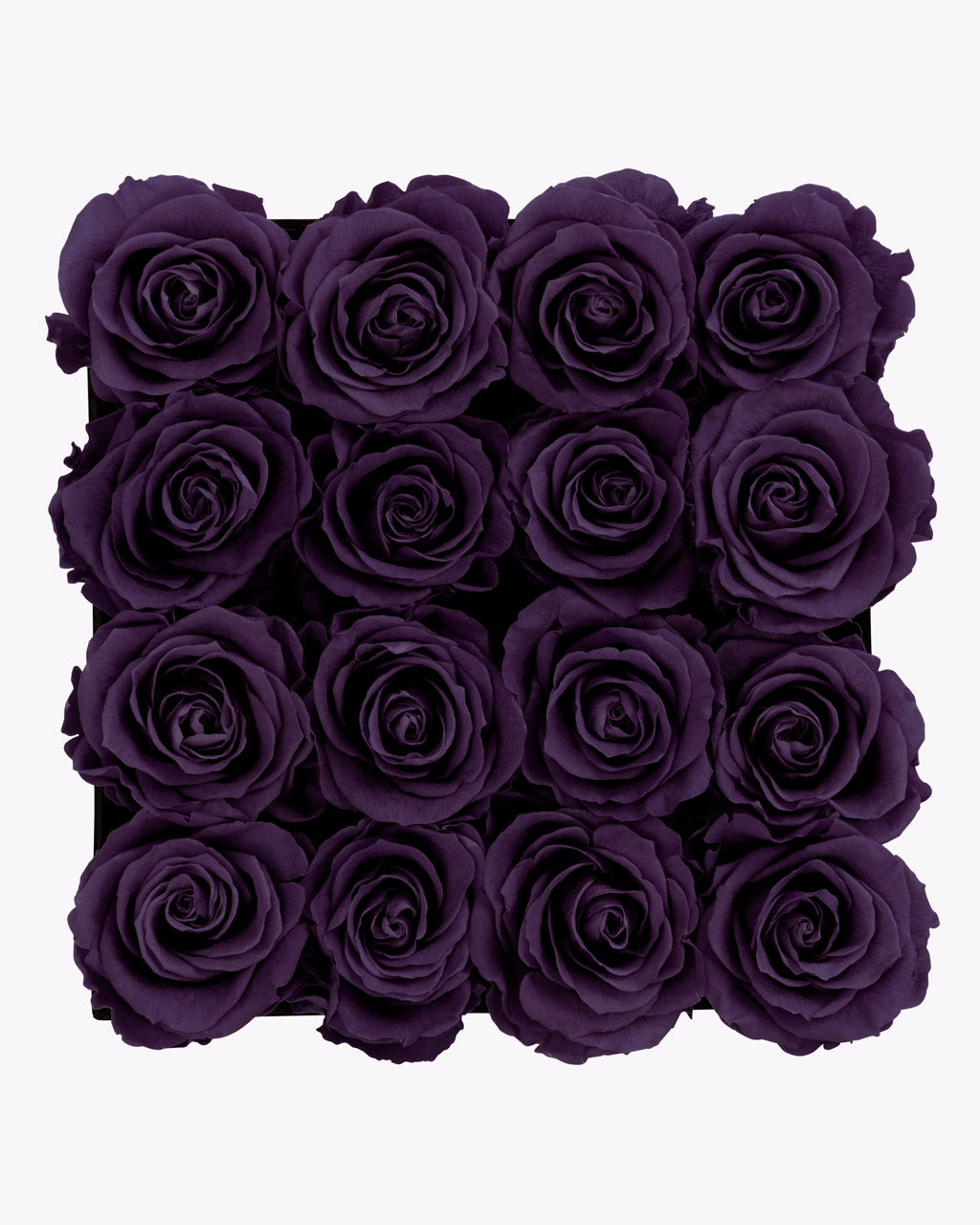 color_ROYAL PURPLE