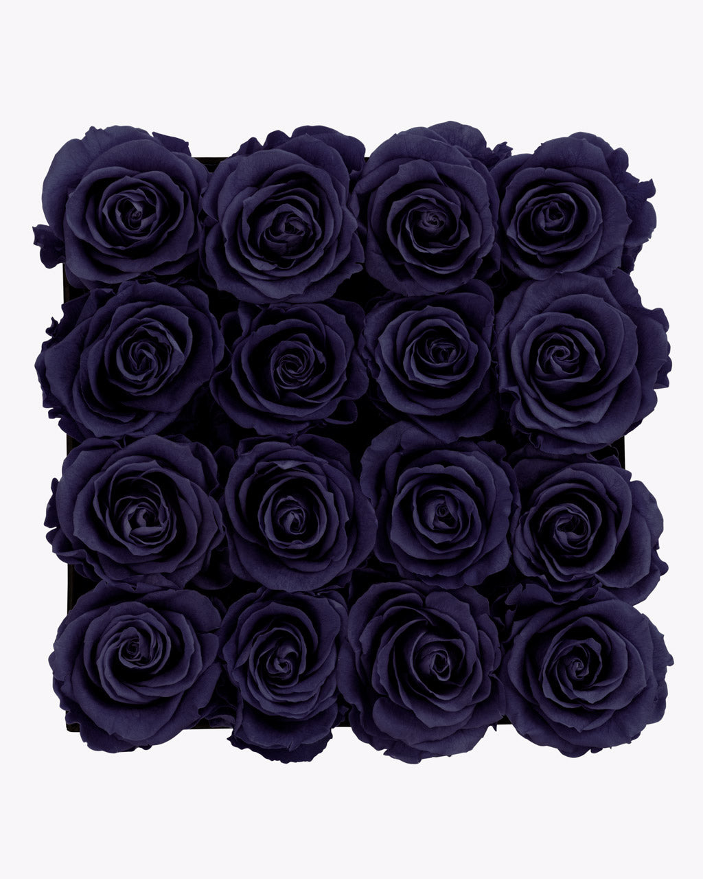 color_DARK PURPLE