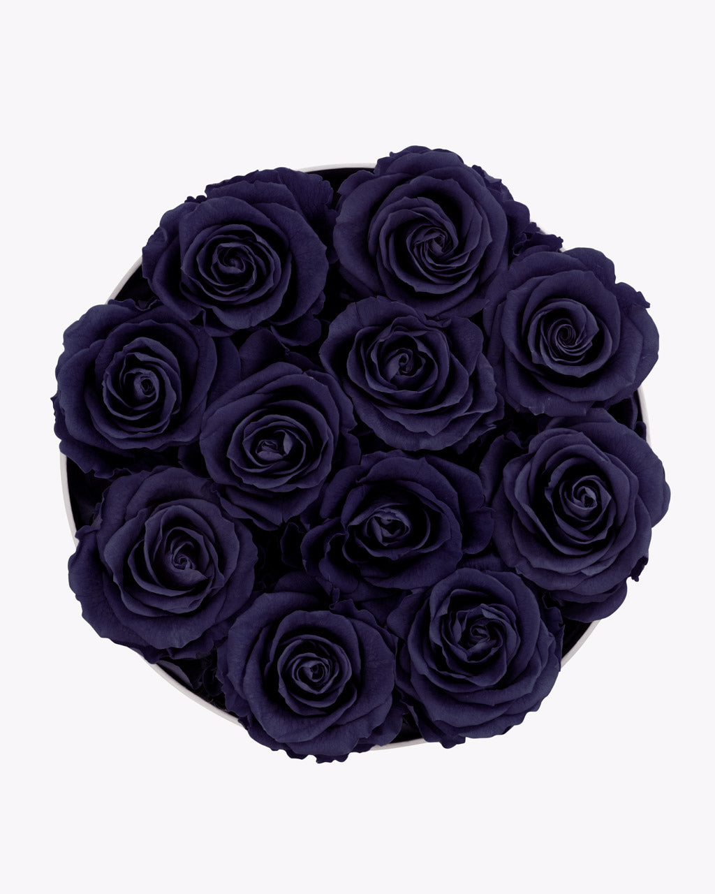 color_DARK PURPLE