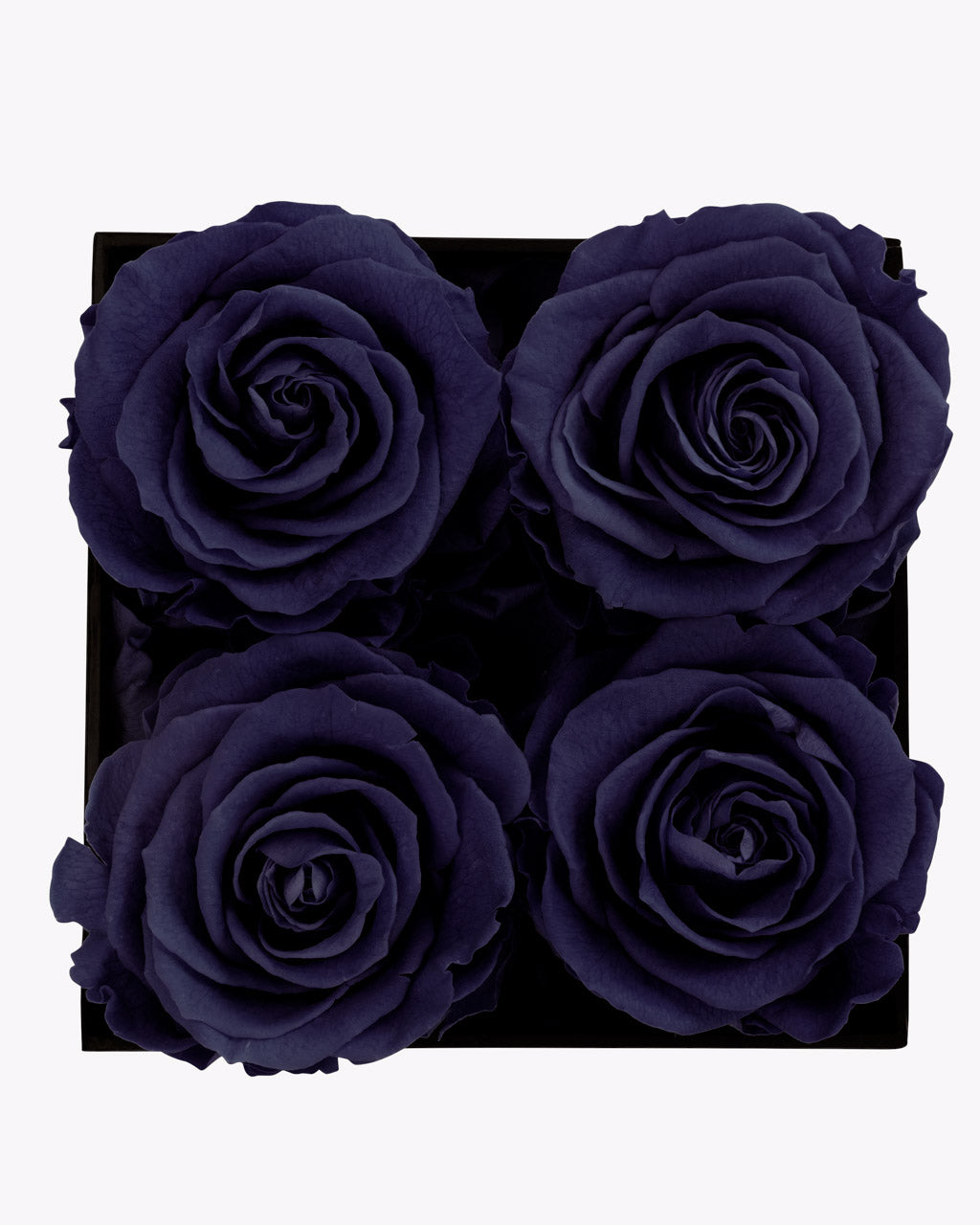 color_DARK PURPLE