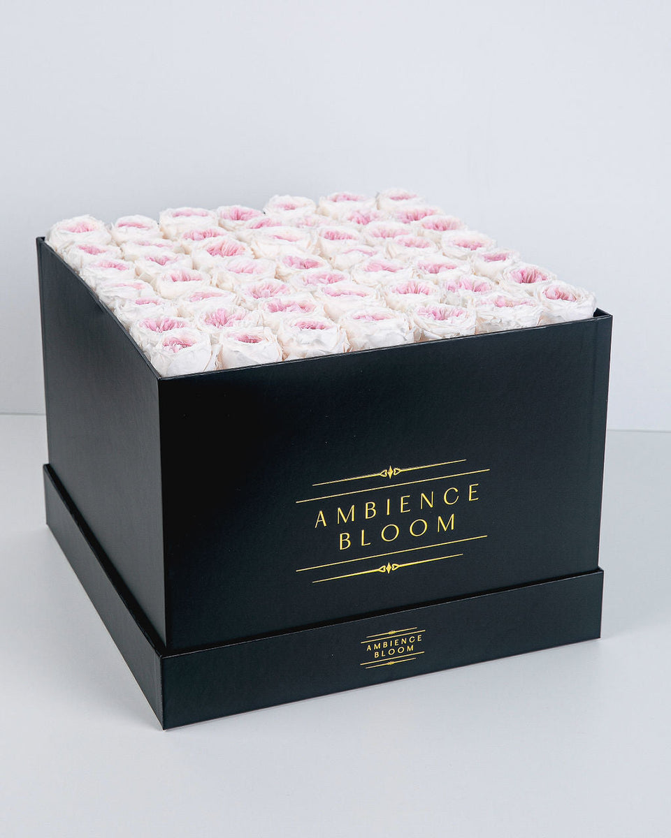 Premium Garden Rose - Champagne Pink – Ambience Bloom