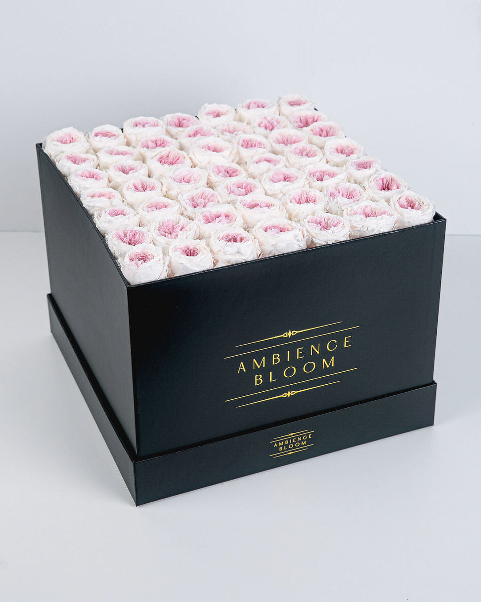Premium Garden Rose - Champagne Pink – Ambience Bloom