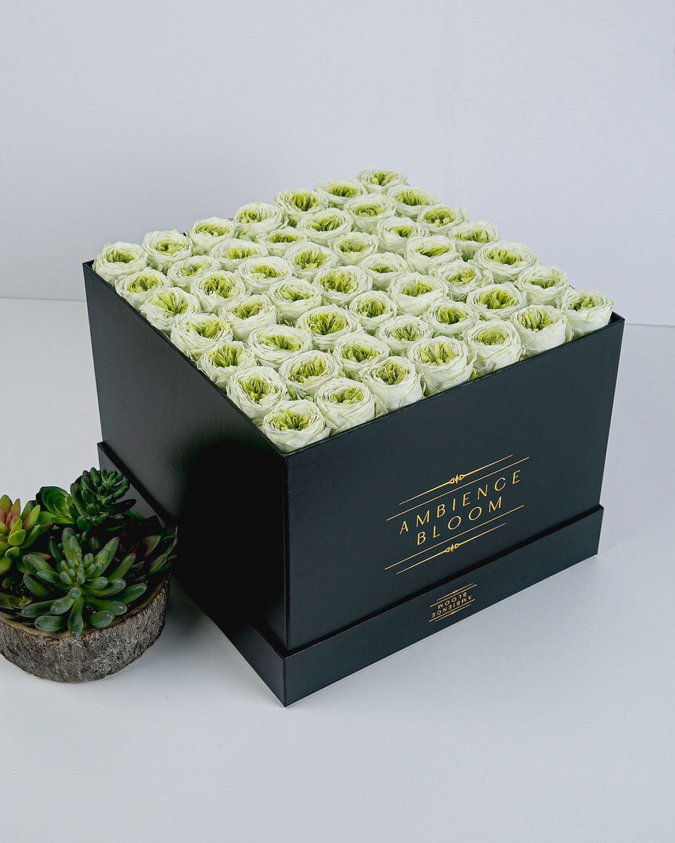 Premium Garden Rose - Mint Green – Ambience Bloom
