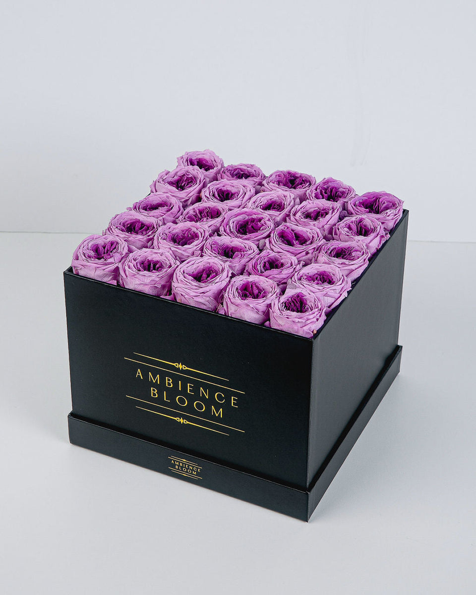 Premium Garden Rose - Lilac Purple – Ambience Bloom