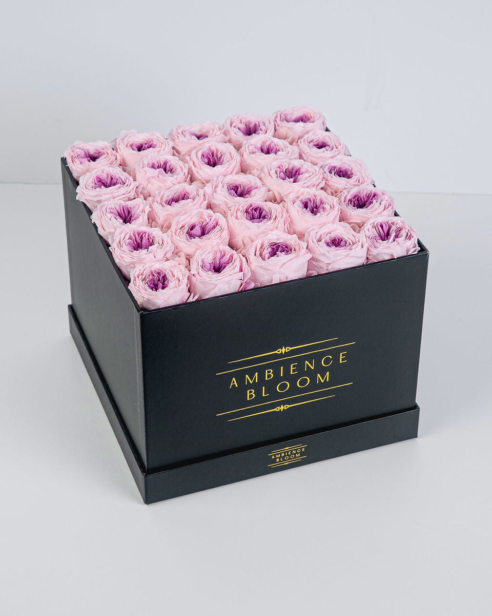 Premium Garden Rose - Pink Rouge – Ambience Bloom