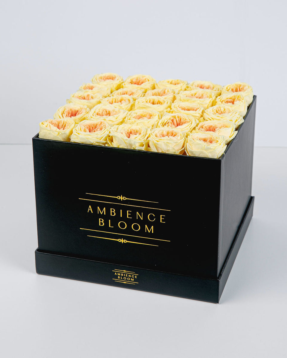 Premium Garden Rose - Yellow Peach – Ambience Bloom